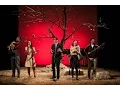 Download Lagu “Revansa”, de Michele Santeramo , regia Vlad Cristache