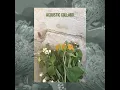 Think About You (Inst.) (널 좋아하나봐 (Inst.))