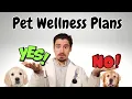 Are Wellness Plans a good idea for your PET at the VET
