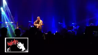 virall lagu iwan fals tagih janji jokowi