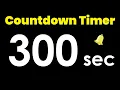 300 second Countdown Timer with Alarm