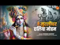 Download Lagu हे मुरलीधर छलिया मोहन | Hey Murlidhar Chhaliya Mohan | Roshni Pandey  | New Krishna Bhajan 2025