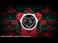 Praneel Rajkhowa - Somebody To Love [REMIX] (Official Visualizer)