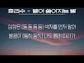 소녀시대-효리수 (Girls' Generation-HRS) - 별이 쏟아지는 밤(놀면 뭐하니? 숏폼 드라마 OST)(가사/Lyrics)