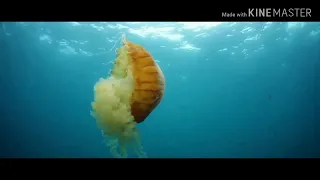 نغمة اللهم فرج هم المهمومين دندنها