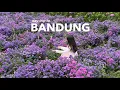 Download Lagu flower garden escape in Bandung (new cafes, bakery treat and comfort food)