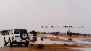 مايجدد علة القلب من عقب إدلهان دندنها
