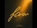 Flow - &friends & Stevie Appleton