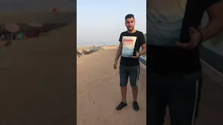 تشيز كيك انتي ياربي  محمد قجعه   دندنها