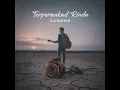 Terperangkap Rindu - Gamoon | Music Video