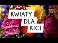 Lagu Kwiaty Dla Kici 🌹 | Disco Polo | Wytwórnia Hitów 