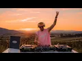 Download Lagu Avicii, Kygo, Calvin Harris, Alok, Robin Schulz – Endless Summer Mix