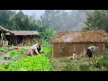 From a small farm in the forest, after one year, how has single mother Tieu Ca changed?