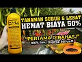 Lagu ANDAI SEMUA TAHU INI, TANAMAN SUBUR \u0026 LEBAT HEMAT BIAYA 50% | AKTIVASI DAHSYAT EM4 | Pupuk Organik