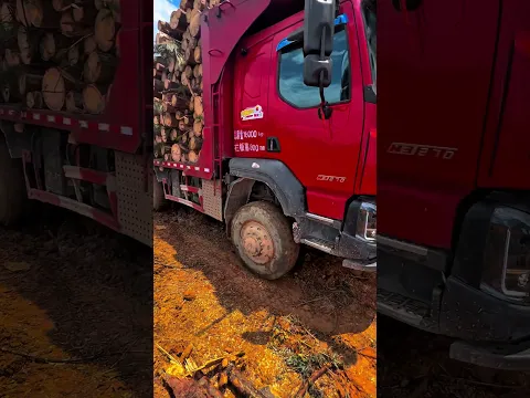 #truck #wheelsinmud #offroad