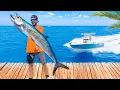 Download Lagu 48 Hours Chasing Every Fish In Florida! Catch Clean \u0026 Cook
