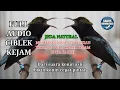 Download Lagu MASTERAN KONIN FULL CIBLEK AK47 VERSI KEJAM BUKA PARUH DENGAN TERAPI AIR PELAN PASTI CEPAT MASUK !