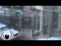 Anonymous - Anon Down