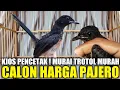 Download Lagu JADI INI KIOS PENCETAK MURAI TROTOL MURAH CALON JAWARA NASIONAL PALING DICARI PEMAIN GANTANGAN
