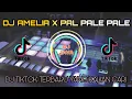 DJ AMELIA X PAL PALE VIRAL TIKTOK TERBARU 2021