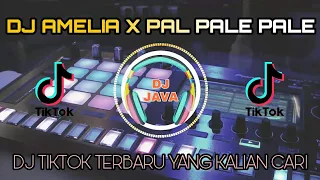 Download DJ AMELIA X PAL PALE VIRAL TIKTOK TERBARU 2021 MP3