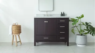 ARIEL Cambridge 42 Left or Right Offset Single Sink Vanity Cabinet by KitchenSource com