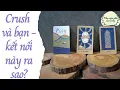 Lagu Crush - Bạn và kết nối này ra sao? |Trải bài tarot| Khu vườn Andy