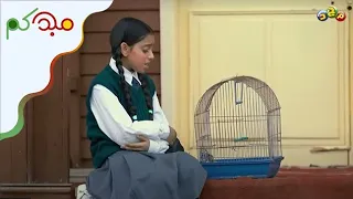 كليب مات العصفور   حصريا  ببرنامج مجدكم دندنها