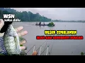 Lagu GAK NYANGKA‼️MESKI MANCING DI GUYUR HUJAN IKAN MALAH KELAPARAN || MANCING NGANTANG