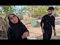 The sad story of two puppies and Master Davood’s kind decision