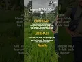 Download Lagu Jangan Salah Menilai - Atikah Edelweiss