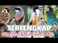 Download Lagu MASTERAN CENDET FULL TEMBAKAN PANJANG || panjang \u0026 jernih dijamin gampang masuk