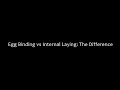 Egg Binding vs Internal Laying The Difference Graphic Photos Inc