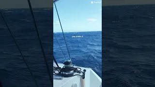 Live The Sailing Life Dream