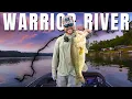 Fishing Alabama s Most UNDERRATED River Warrior River