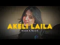 Lagu Akeli Laila  Slowed Reverb Song || Majnuon ki Bheed mein Akeli Laila  Lofi Version || Lofi FM 