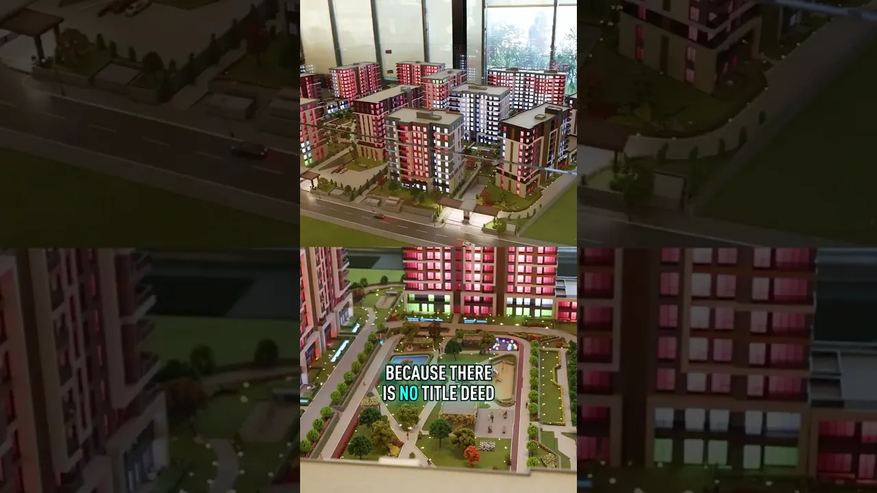 Why This Project Is the Shortcut to Citizenship