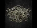 Dreams Don’t Die - Jelly Roll