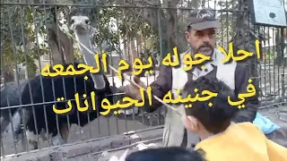 ياجنينه الحيوانات ياسكر يانبات بوجي طمطم مع جني وغيث في جنينه الحيوانات دندنها