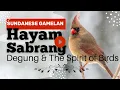 Download Lagu Hayam Sabrang Sundanese Degung – The Sacred Birds of Ancient Sundanese Culture