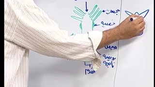 الأحياء الدرس 6 مراحل التكاثر الجنسي 