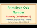 Lec 37 Print Even-Odd number Assembly Language Bangla Tutorial