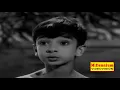Download Lagu PORTER KUNJAALI  |  Malayalam Non Stop Movie Song   |   Porter Kunjali  |  P B Sreenivasan,