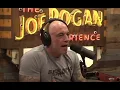 Download Lagu WHOA: Joe Rogan laat Trump in de steek na schokkende update