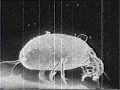 BILE - In League [Uncut Music Video] (inverted)