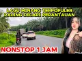 Lagu LAGU 🎶 MINANG SEDIH COCOK UNTUK ANAK PERANTAU TIDAK BISA PULANG KE KAMPUNG HALAMAN