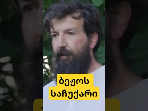 ბეჟოს საჩუქარი! 🎁