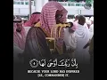 Download Lagu Surah Az-Zalzalah(سورة الزلزلة) | Beautiful Quran Recitation | Sheikh Saud As Shuraim #shorts #quran