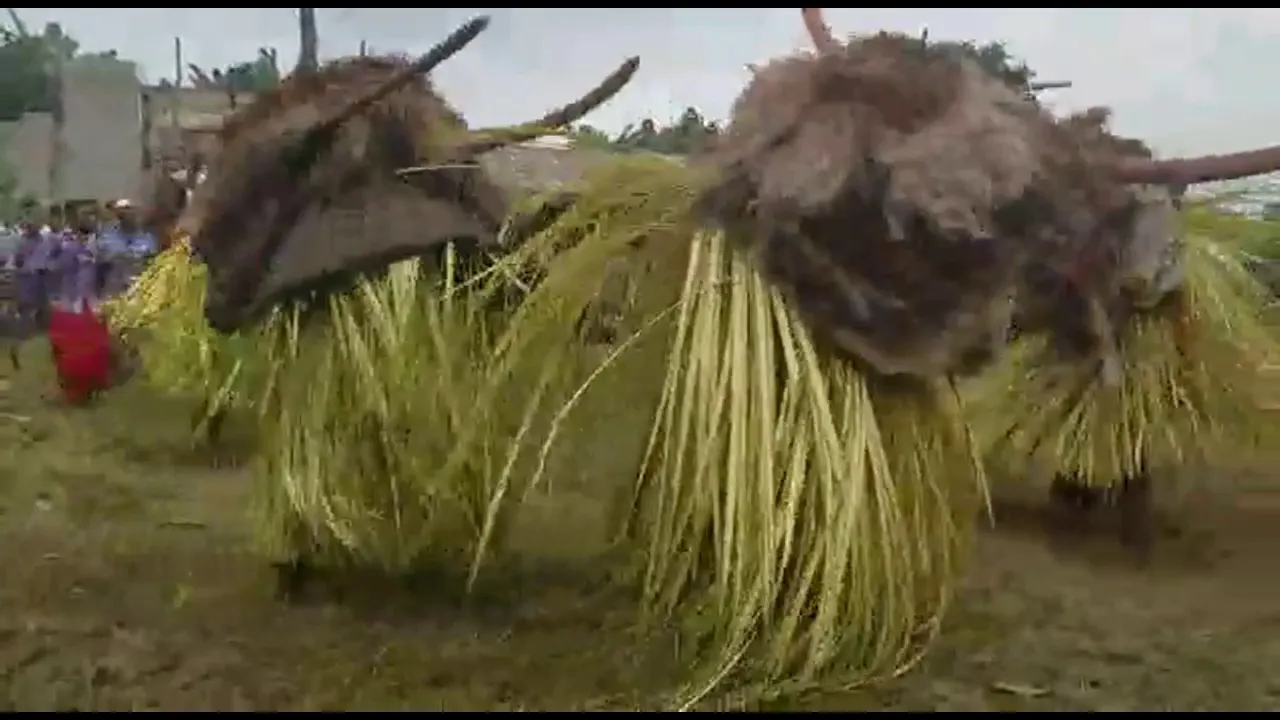 Bakweri Elephant Dance.