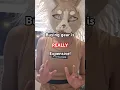 Download Lagu 𝐁𝐮𝐲𝐢𝐧𝐠 𝐠𝐞𝐚𝐫 𝐢𝐬 𝐑𝐄𝐀𝐋𝐋𝐘 𝐞𝐱𝐩𝐞𝐧𝐬𝐢𝐯𝐞!#therian #therianthrophy #fyp #funny #alterhuman #therianpride #gear